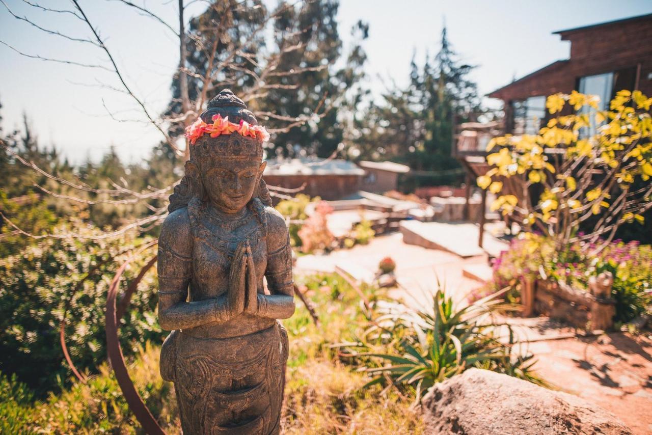 Punta Ballena Lodge Pichilemu Exteriör bild